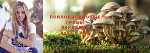 стаф Белокуриха