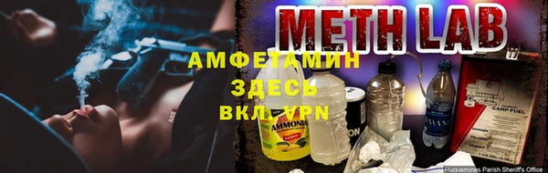 стаф Белокуриха
