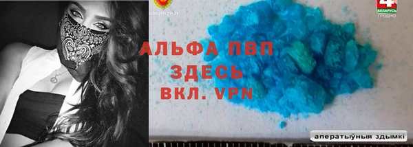 стаф Белокуриха