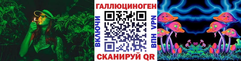 Купить  Славск  Псилоцибиновые грибы GOLDEN TEACHER 